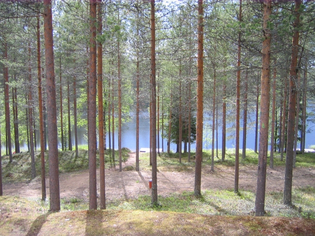 Oulun yliopiston tieteentekijät - OUTI - Syöte Cabin